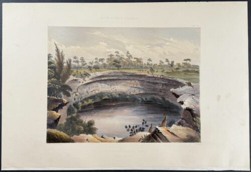 The Devil's Punch Bowl, near Mt. Schanck (Kangaroos)