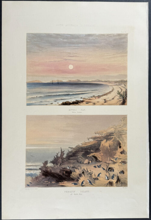Rivoli Bay, before sunrise  / Penguin Island, off Rivoli Bay