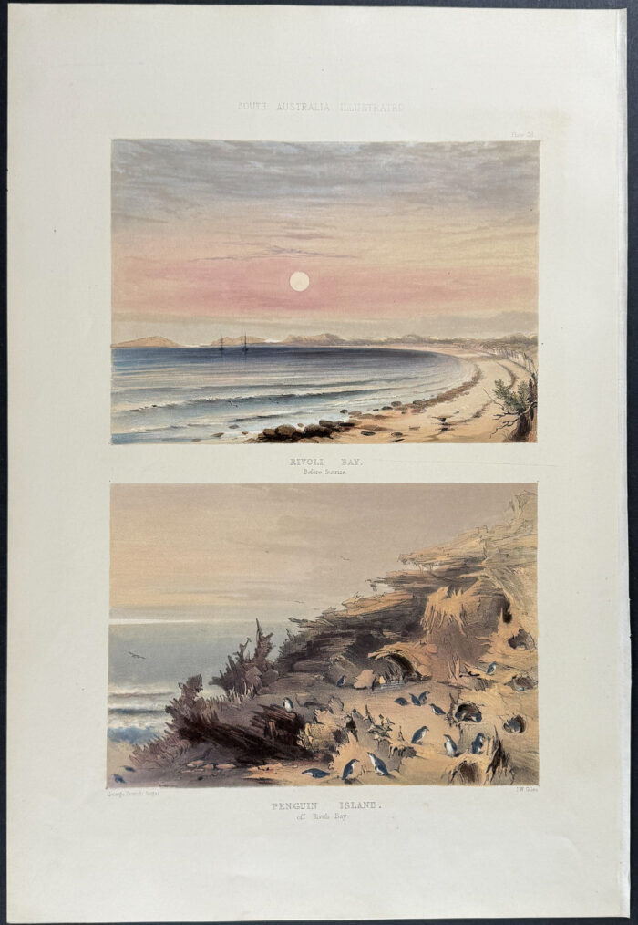 Rivoli Bay, before sunrise  / Penguin Island, off Rivoli Bay
