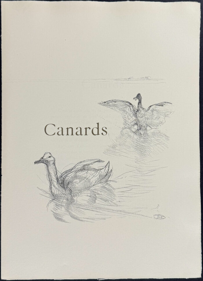 Duck (Canards)