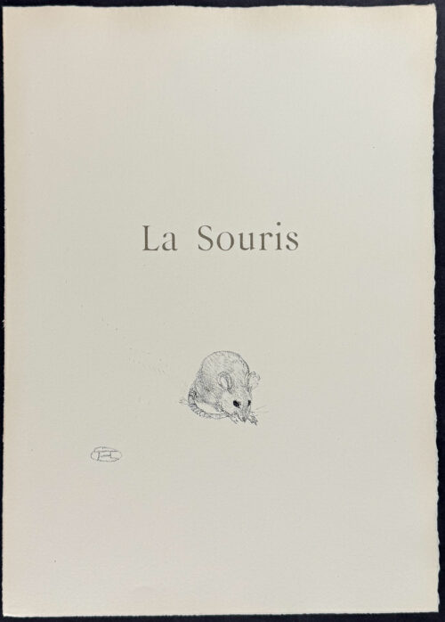 Mouse (La Souris)