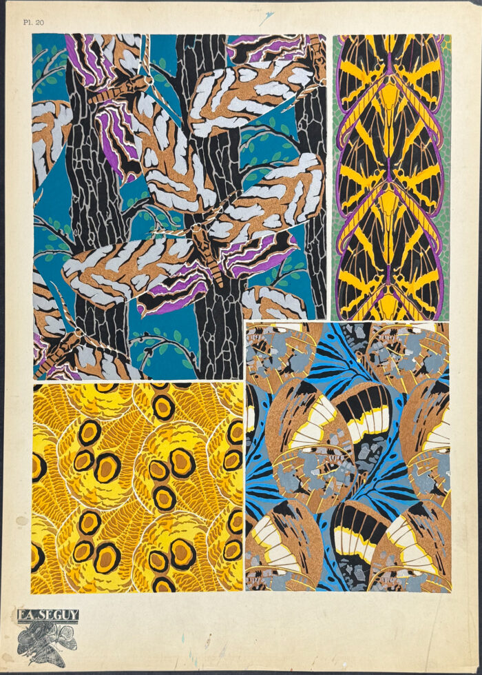 Butterfly or Moth Design Pochoir