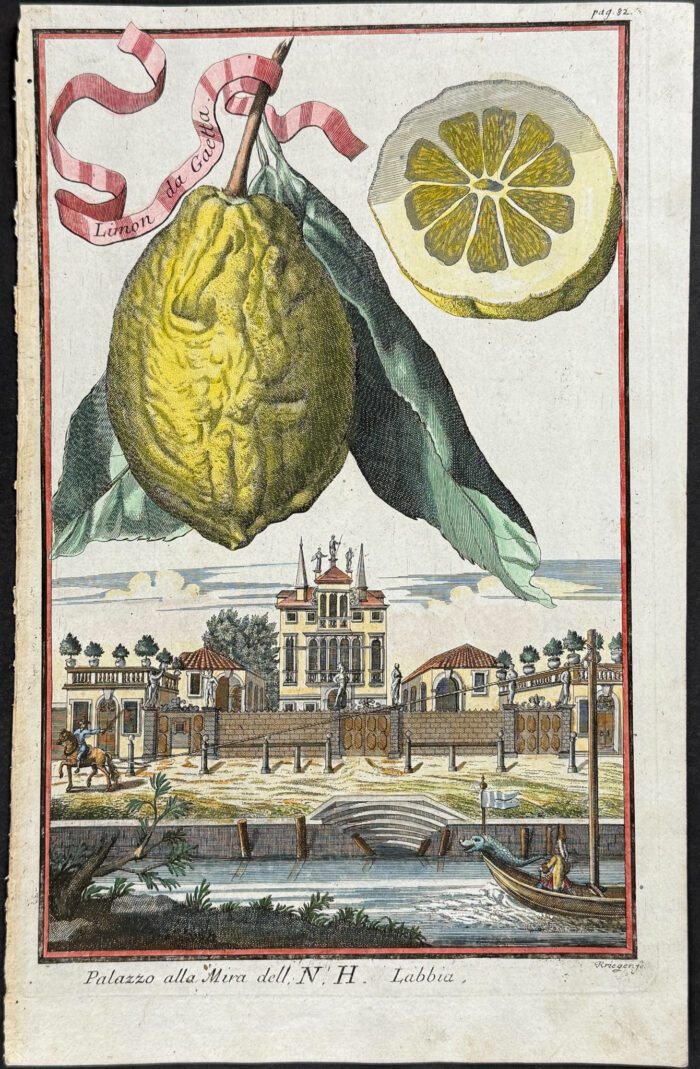Lemon (Limon da Gaetta