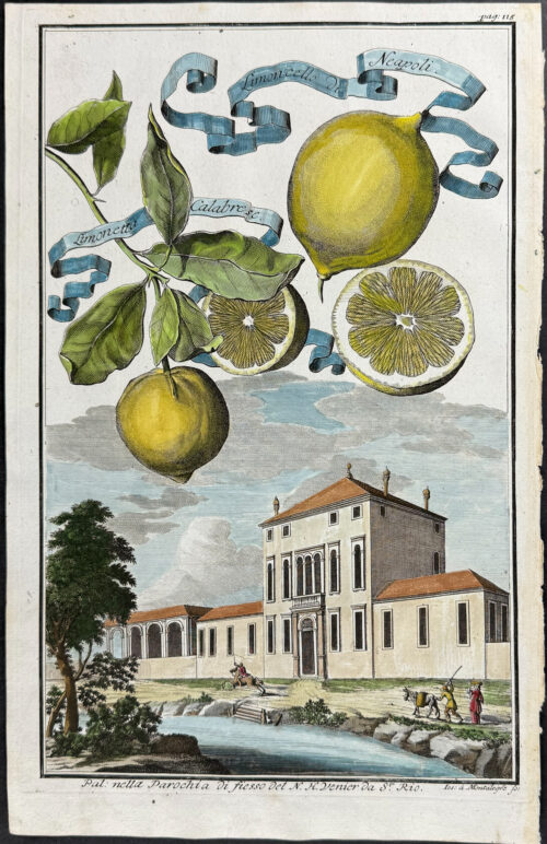 Lemon - Limonetta Calabrese & limonchello di neapoli
