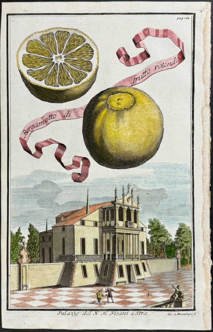 Citrus - Bergamotto di frutto rorondo