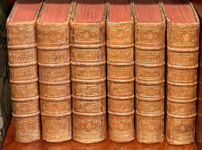 Martinet & Buffon's Histoire Naturelle des Oiseaux - 10 Volumes with 973 Originally Hand-colored Bird Engravings & Text - Image 2