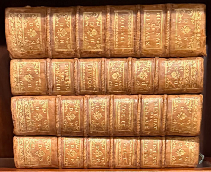 Martinet & Buffon's Histoire Naturelle des Oiseaux - 10 Volumes with 973 Originally Hand-colored Bird Engravings & Text - Image 3