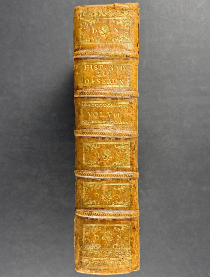 Martinet & Buffon's Histoire Naturelle des Oiseaux - 10 Volumes with 973 Originally Hand-colored Bird Engravings & Text - Image 4