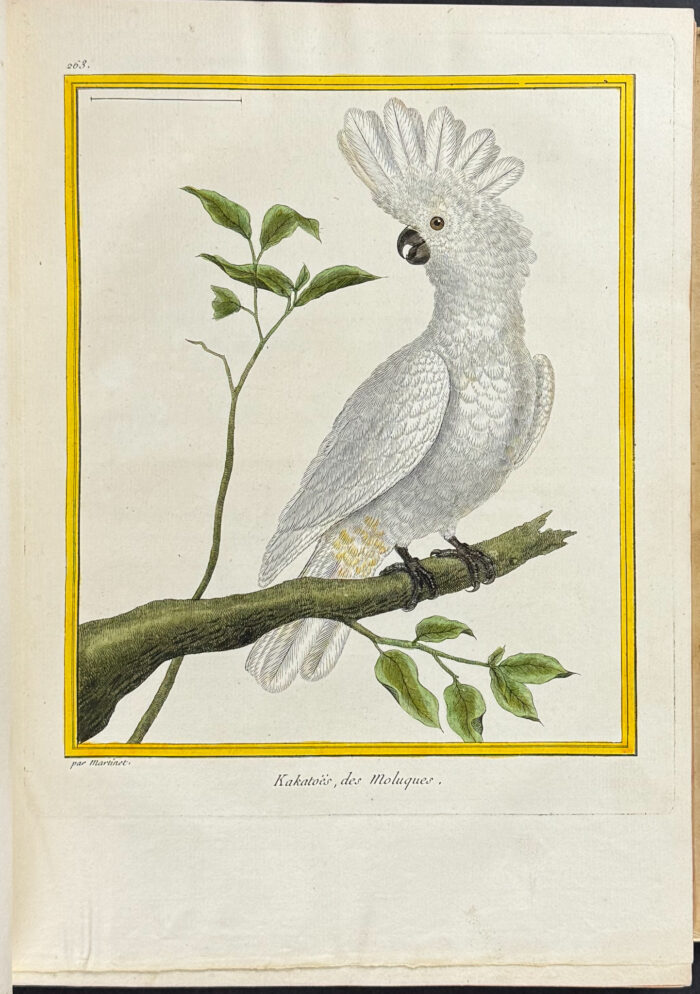 Martinet & Buffon's Histoire Naturelle des Oiseaux - 10 Volumes with 973 Originally Hand-colored Bird Engravings & Text - Image 7