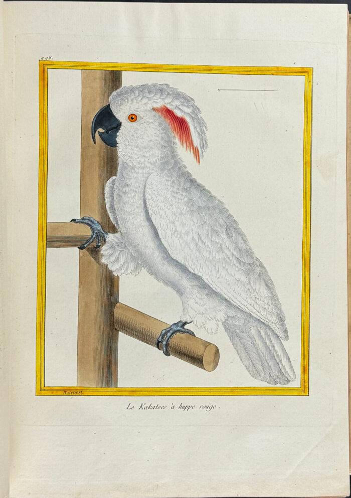 Martinet & Buffon's Histoire Naturelle des Oiseaux - 10 Volumes with 973 Originally Hand-colored Bird Engravings & Text - Image 22