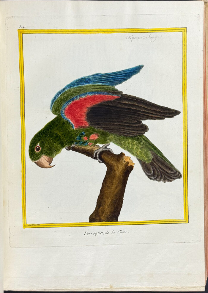 Martinet & Buffon's Histoire Naturelle des Oiseaux - 10 Volumes with 973 Originally Hand-colored Bird Engravings & Text - Image 23