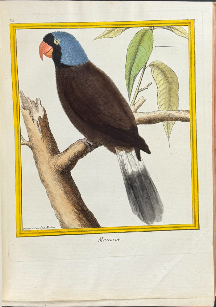 Martinet & Buffon's Histoire Naturelle des Oiseaux - 10 Volumes with 973 Originally Hand-colored Bird Engravings & Text - Image 24