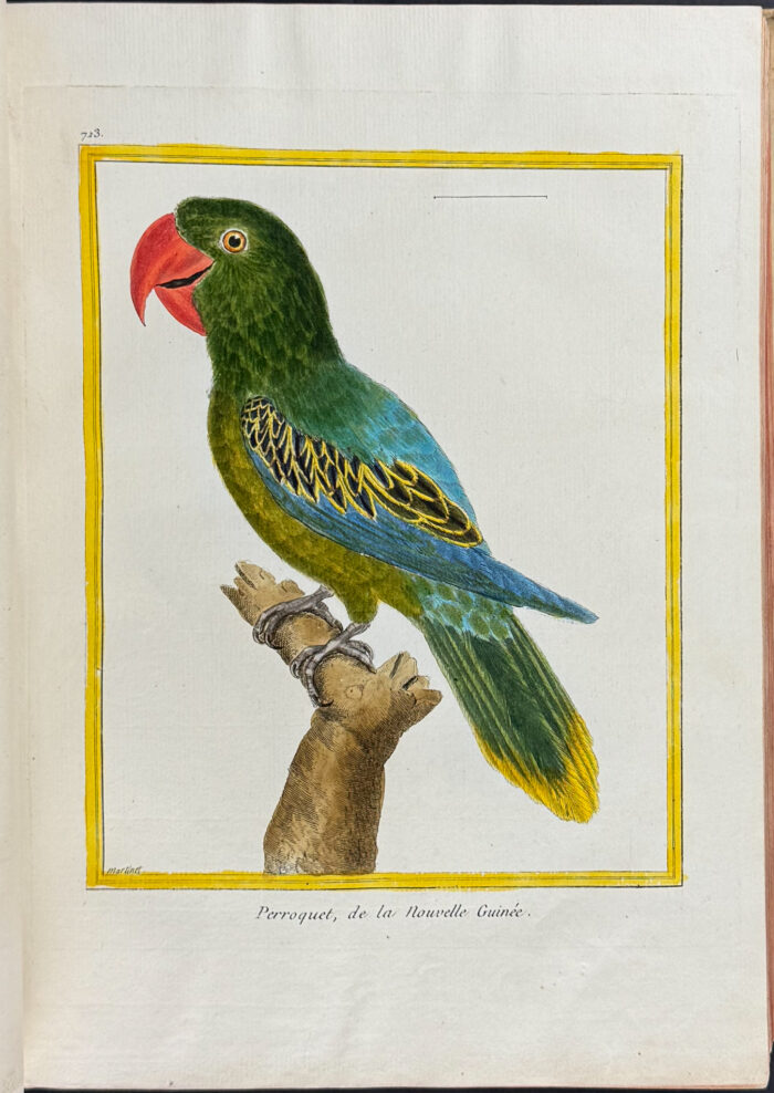 Martinet & Buffon's Histoire Naturelle des Oiseaux - 10 Volumes with 973 Originally Hand-colored Bird Engravings & Text - Image 25
