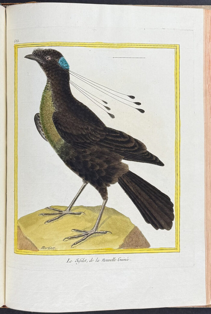 Martinet & Buffon's Histoire Naturelle des Oiseaux - 10 Volumes with 973 Originally Hand-colored Bird Engravings & Text - Image 41