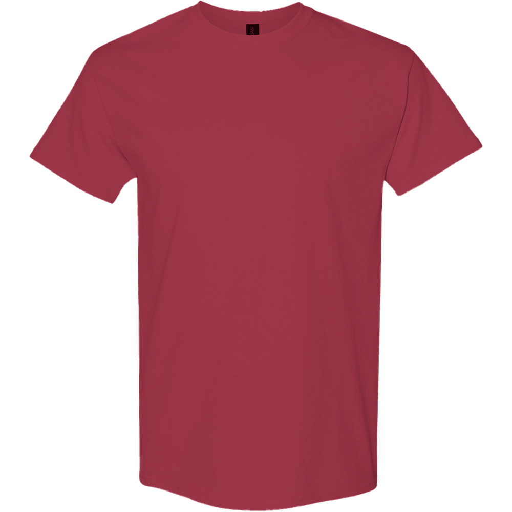 Heavy Cotton™ T-Shirt