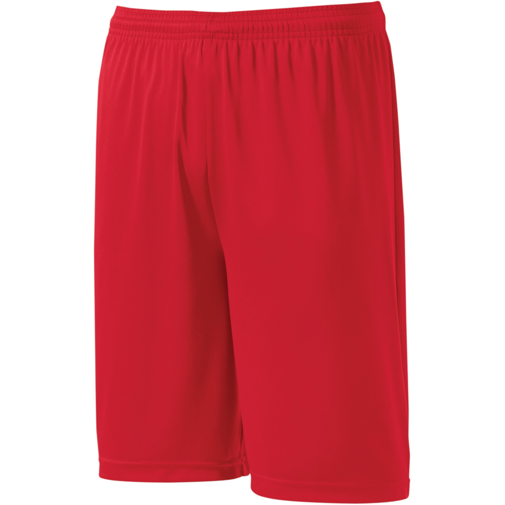ProTeam Shorts