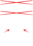 Political Party Template Gift