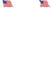 Proud Political Template Gift