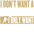 Don't Want Boyfriend Only Hockey Player - Gold Gift