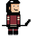 Arizona 8bit hockey Gift