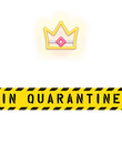 I turned Age in Quarantine Gift