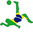 Got Player? Brazil Bicycle Kick World Cup Gift