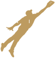 Air Baseball Player - Gold Gift