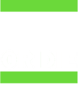 Football Player or Die - White & Green on Navy Gift