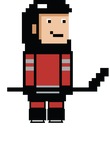 Carolina 8bit hockey Gift