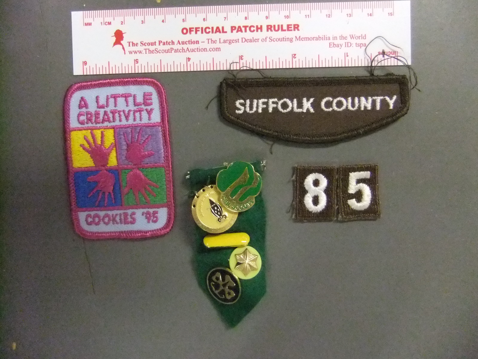 Girl Scout Suffolk County Council & Pins 2440GG eBay