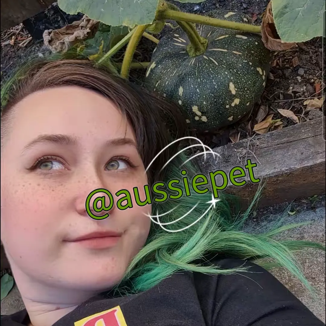 @aussiepet TikTok profile avatar