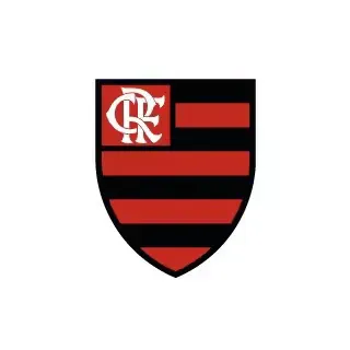 @flamengo TikTok profile avatar