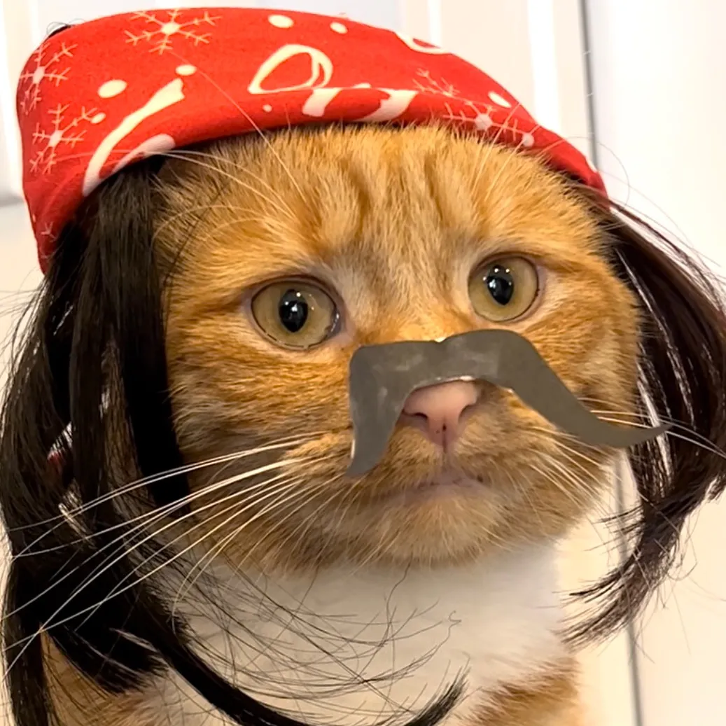 @heyitsgingerandpepper TikTok profile avatar