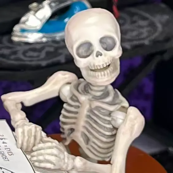 @mr.bones_sews TikTok profile avatar