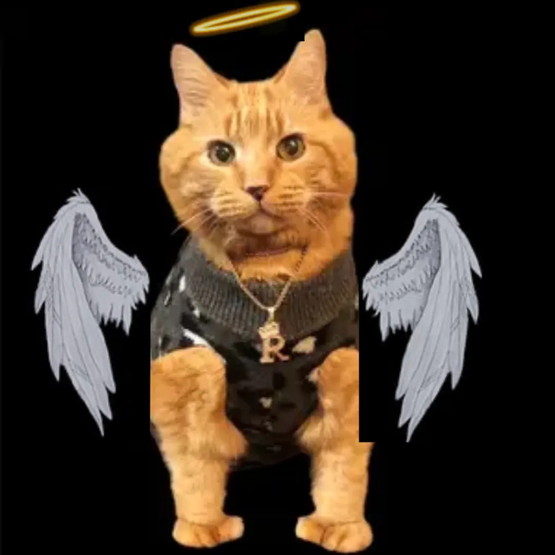 @reznor_the_cat TikTok profile avatar