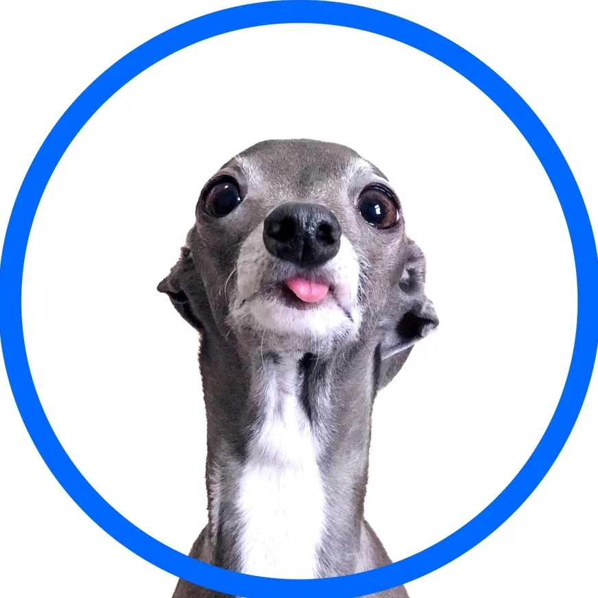 @tikatheiggy TikTok profile avatar