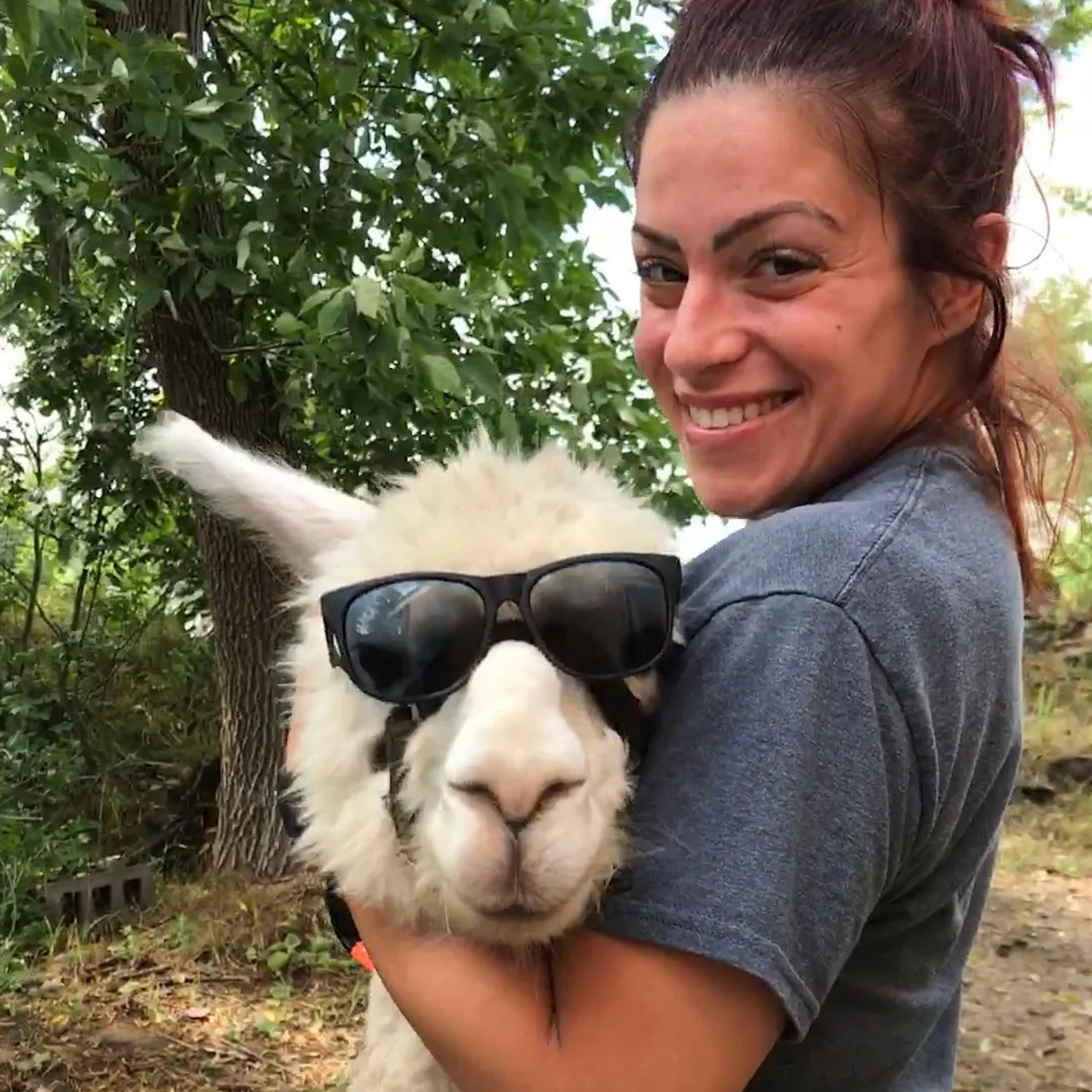 @useless_farm TikTok profile avatar