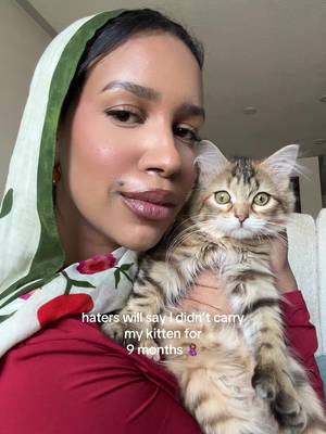 you can’t say I didn’t carry her 🤰🏽 #kitten #cattiktok 
