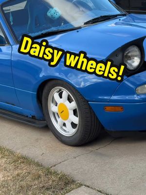 Daisy wheels painted as actual daisies! They turned out really good despite the awful paint mishap.