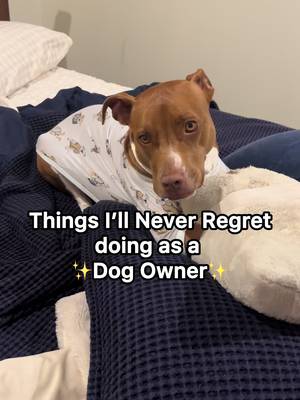 Every Dog Deserves This 🐾 #rescuedog #staffy #doglover 