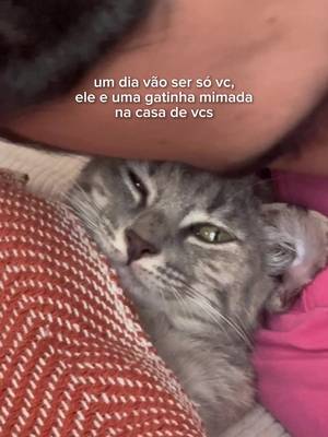 apenas um casal jovem sendo pais de uma gatinha 🥹 #casal #gato #namorados