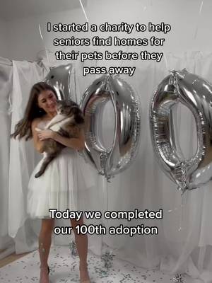 my heart is so full 🤍 thank you for making @My Grandfather’s Cat a reality