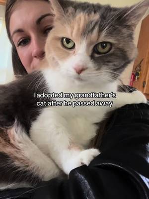 I had a lot of feelings tonight. Missing you my little girl @My Grandfather’s Cat