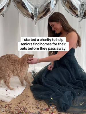500 🤍 @My Grandfather’s Cat