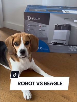 Basilās been working as our floor cleaner for years⦠but I think his reign is over. š Ā The new DEEBOT T50 MAX PRO OMNIĀ from @ECOVACS just BLASTED into our home ā and itās leaving no crumb, corner, or couch edge behind. With BLAST Technology, ZeroTangle 2.0, and TruEdge 2.0Ā edge-hugging smarts⦠is this the end of Basilās cleaning career? Ā #DEEBOT #T50MAXPROOMNI#BLASTTechnology #ECOVACSĀ #RobotVacuum #CleaningHacks #PetParents #SmartHome #DogvsRobot #CleanTok #TechTok #HomeGadgets #PetCleanup