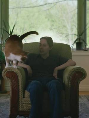 this is the story behind how Beauty and the Bean came to be! how long have you been Waking up with Bean?  filmed & interviewed by @itschrisspencer  #catsoftiktok #orangecat #beautynthebean #funnycat #PetsOfTikTok #meow #catmom 