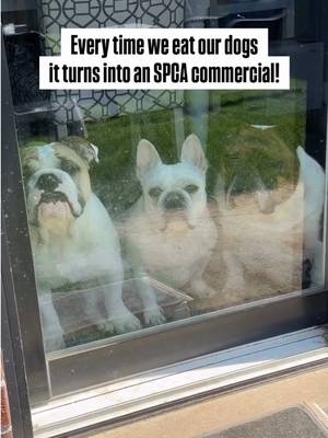 Relax, we would never! 🤣 🤣 🤣#saddogdiaries #feedusnow #emotionalsupportburgers #hungryaf