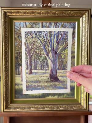 'Home Tree', colour study vs final painting🍃 The study was an important step in creating this piece. While I had a photo of my favourite eucalyptus tree to reference, I wanted to try and capture more than what's seen at first glance. If you've ever looked closely at a eucalyptus tree trunk, you'll know just how many colours are hidden there. And if you've ever taken a walk in a eucalyptus forest, especially when it's winter and the light is soft, you'll know just how enchanting it feels to look up and see the trunks soaring so high above, branches glowing and leaves glinting in the light ff it's like a dream, and I really wanted to capture that feeling !!✨ So in the study I played with all the shadow colours and added a sense of distance and all sorts of fun tweaks, and it really helped me hold onto my vision when it came to painting the real thing. OH and can we talk about the FRAME! I love it soooo much! Some of you might remember when I found it in an op-shop! It's second-hand, so there are a few chips and imperfections but I think they add charm. And I like that it makes the painting looks like it's been around for a long time🥹 #oilpainting #artist