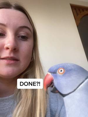 @chantyb97 TikTok video cover