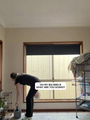 Friday workout, featuring Archie.